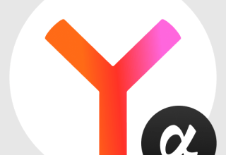 Yandex Tarayıcı (alfa) 25.12.0.131 Apk İndir