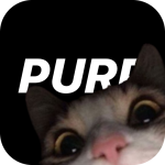 purp – Yeni arkadaşlar edinin 5.1.4 Apk İndir