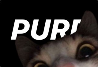 purp – Yeni arkadaşlar edinin 5.1.4 Apk İndir