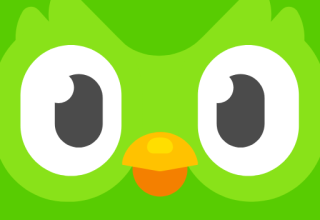 Duolingo: Dil Dersleri 6.82.2 beta Apk İndir